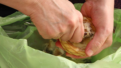 Togliere il fieno dai carciofi